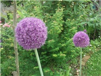 dc30c749-Picture 004.jpg